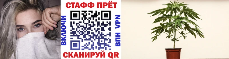Где можно купить наркотики Кингисепп Канабис  ЭКСТАЗИ  Гашиш  МЕФ 
