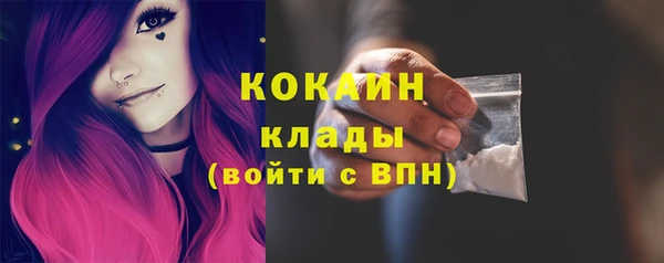 тгк Богданович