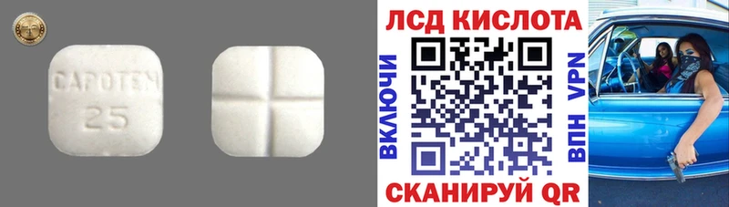 цены наркотик  Кингисепп  Лсд 25 экстази кислота 