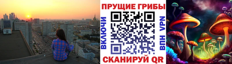 Галлюциногенные грибы мухоморы  Кингисепп 